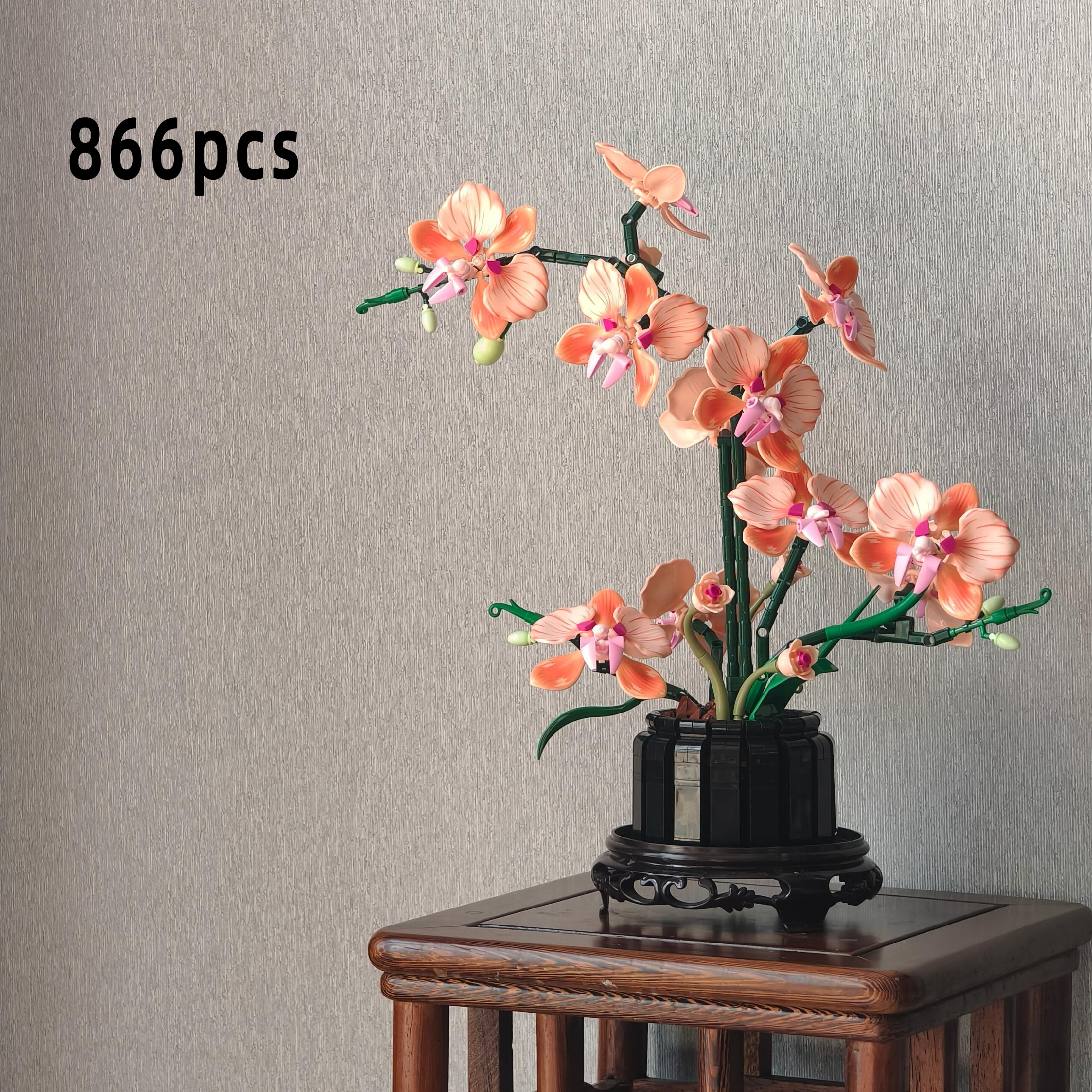 Orange Phalaenopsis Orchid Bui - Plant Parent Gifts 评论和价格