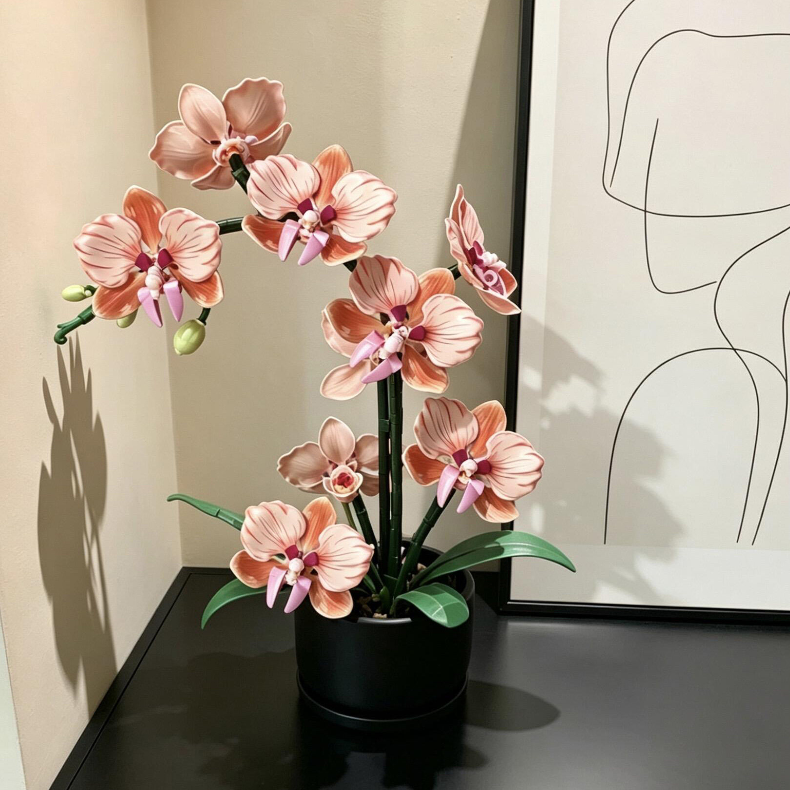 Orange Phalaenopsis Orchid Bui - Plant Parent Gifts 评论和价格
