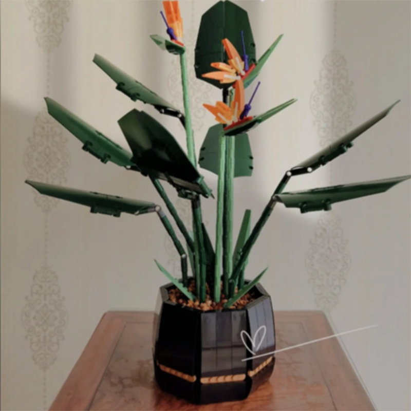 1378PCS Paradise Bird Potted P - Plant Parent Gifts 评论和价格