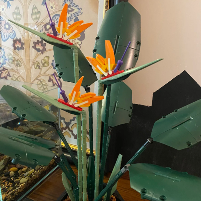 1378PCS Paradise Bird Potted P - Plant Parent Gifts 评论和价格