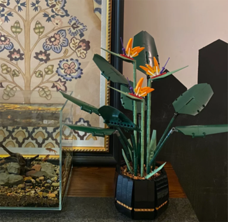 1378PCS Paradise Bird Potted P - Plant Parent Gifts 评论和价格